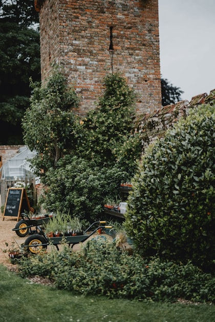 Garden Maintenance Made Easy