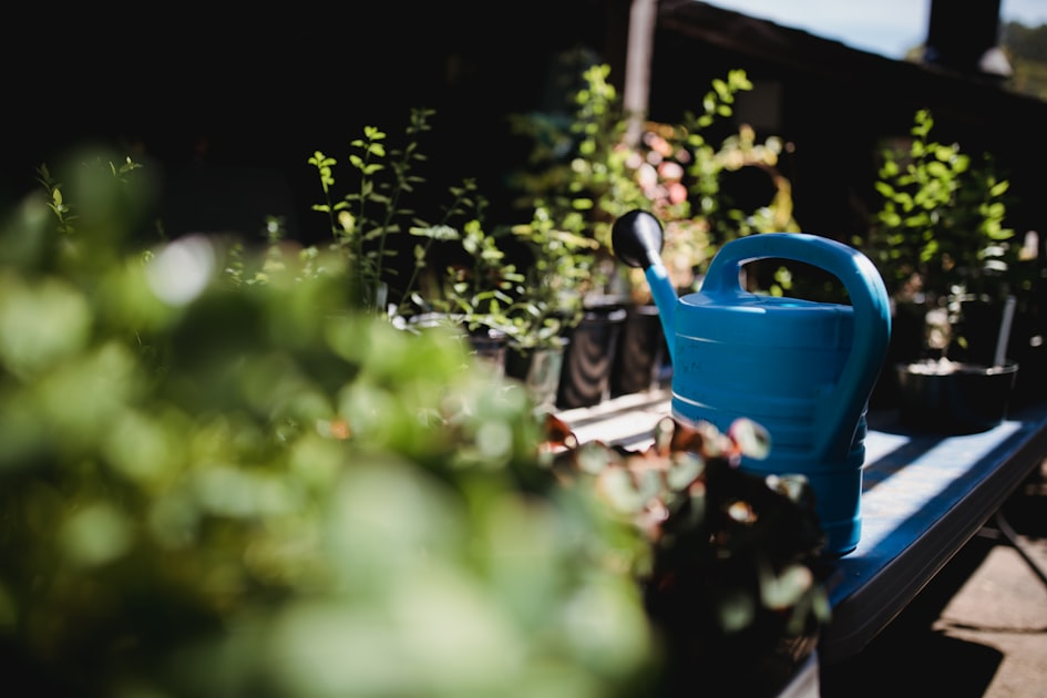 Landscape Design Ideas for Small Yards
